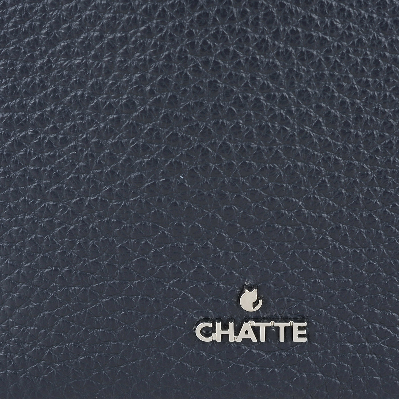 Женский кожаный рюкзак на молнии Chatte 