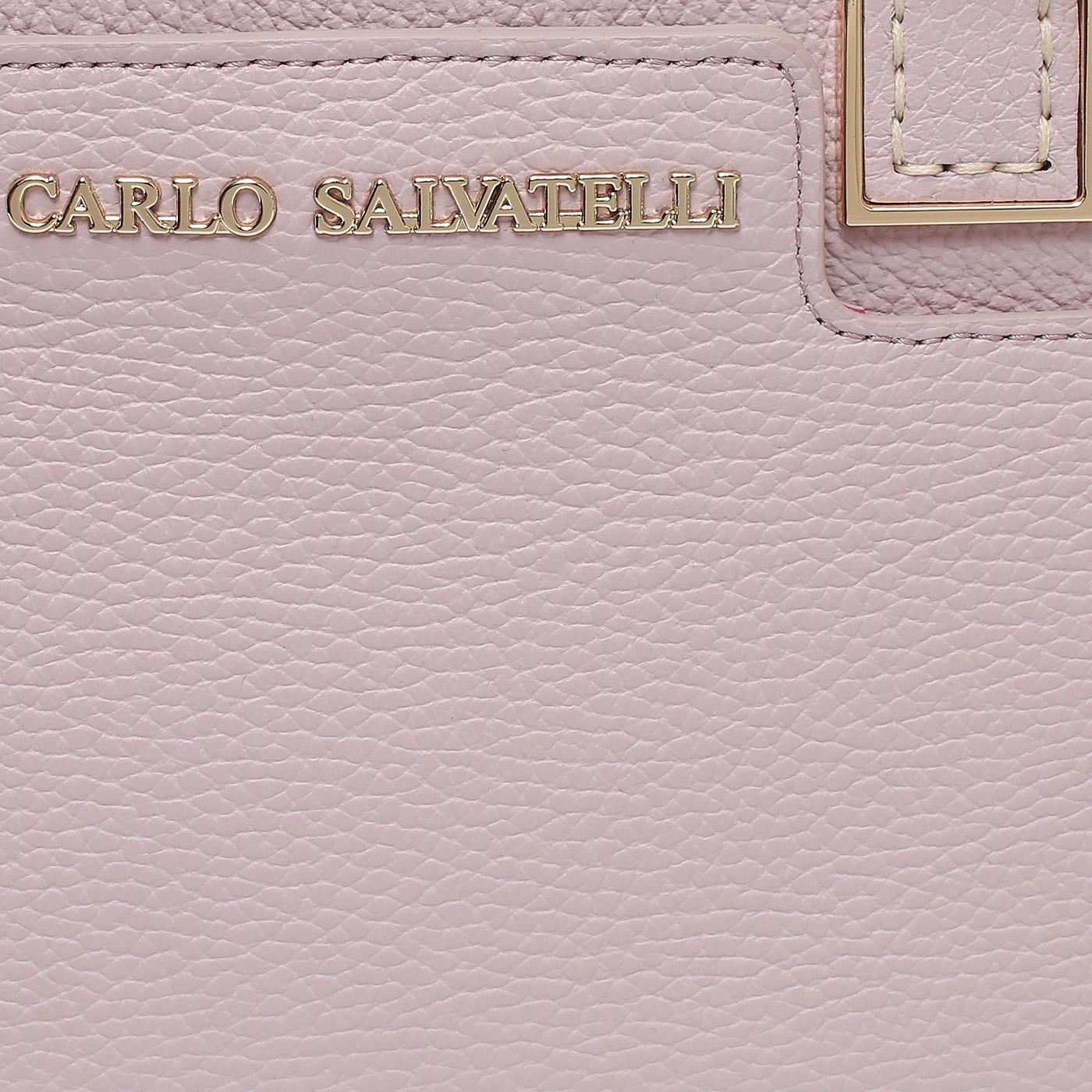 Кожаная сумка Carlo Salvatelli Swami gemma