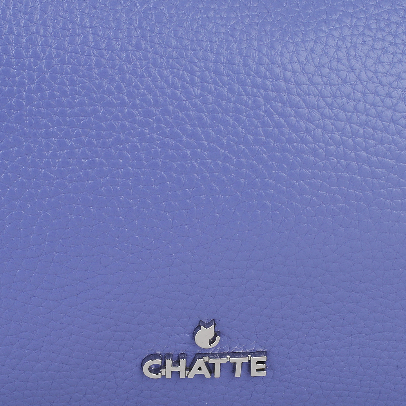 Кожаная сумка Chatte Lion